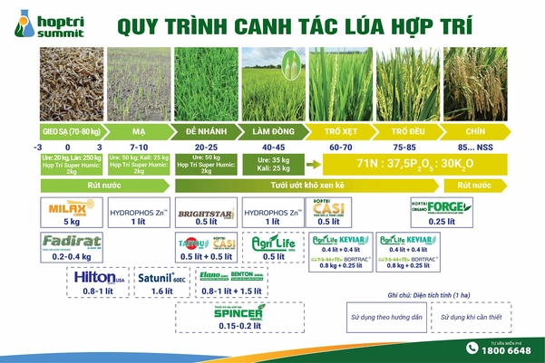 Quy trình canh tác lúa Hợp Trí được Cục Trồng Trọt – Bộ Nông Nghiệp & PTNT công nhận là tiến bộ khoa học kỹ thuật cấp quốc gia